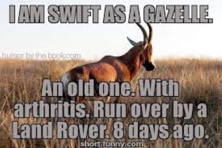 IMAGE OF OLD GAZELLE
